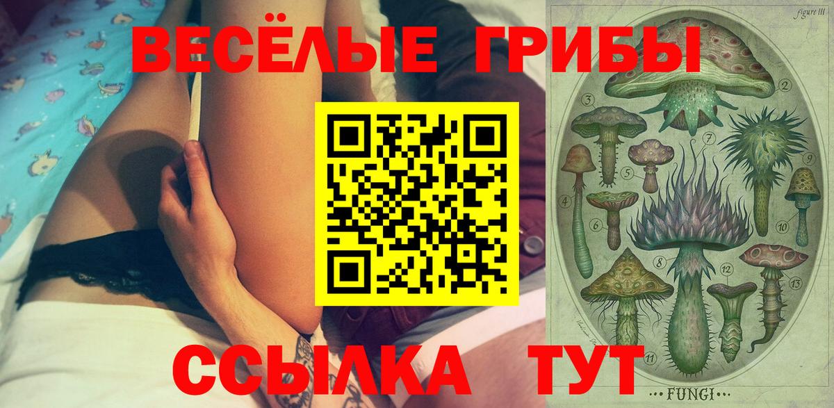 Галлюциногенные грибы Cubensis Кувандык