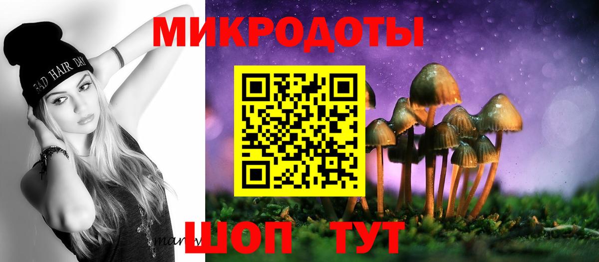 Псилоцибиновые грибы Psilocybine cubensis  Псилоцибиновые грибы прущие грибы  Кувандык  Вход с VPN 